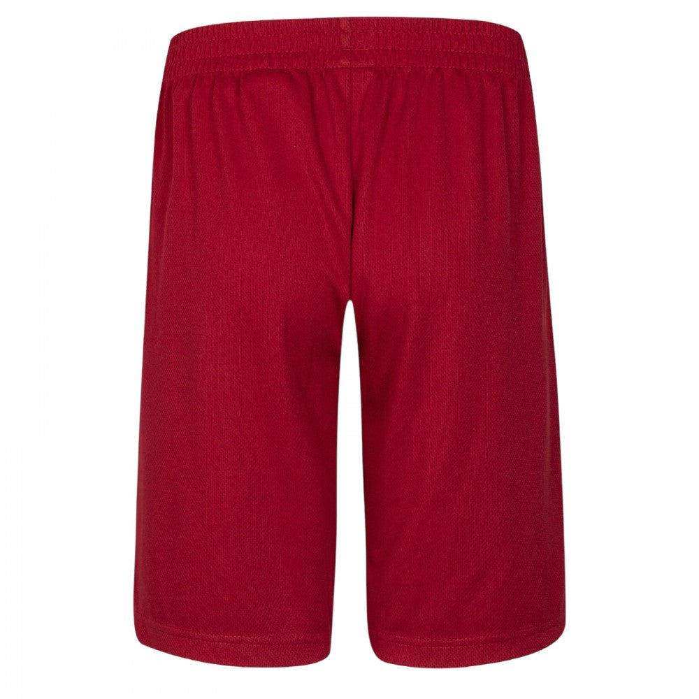 Air Jordan Shorts Junior