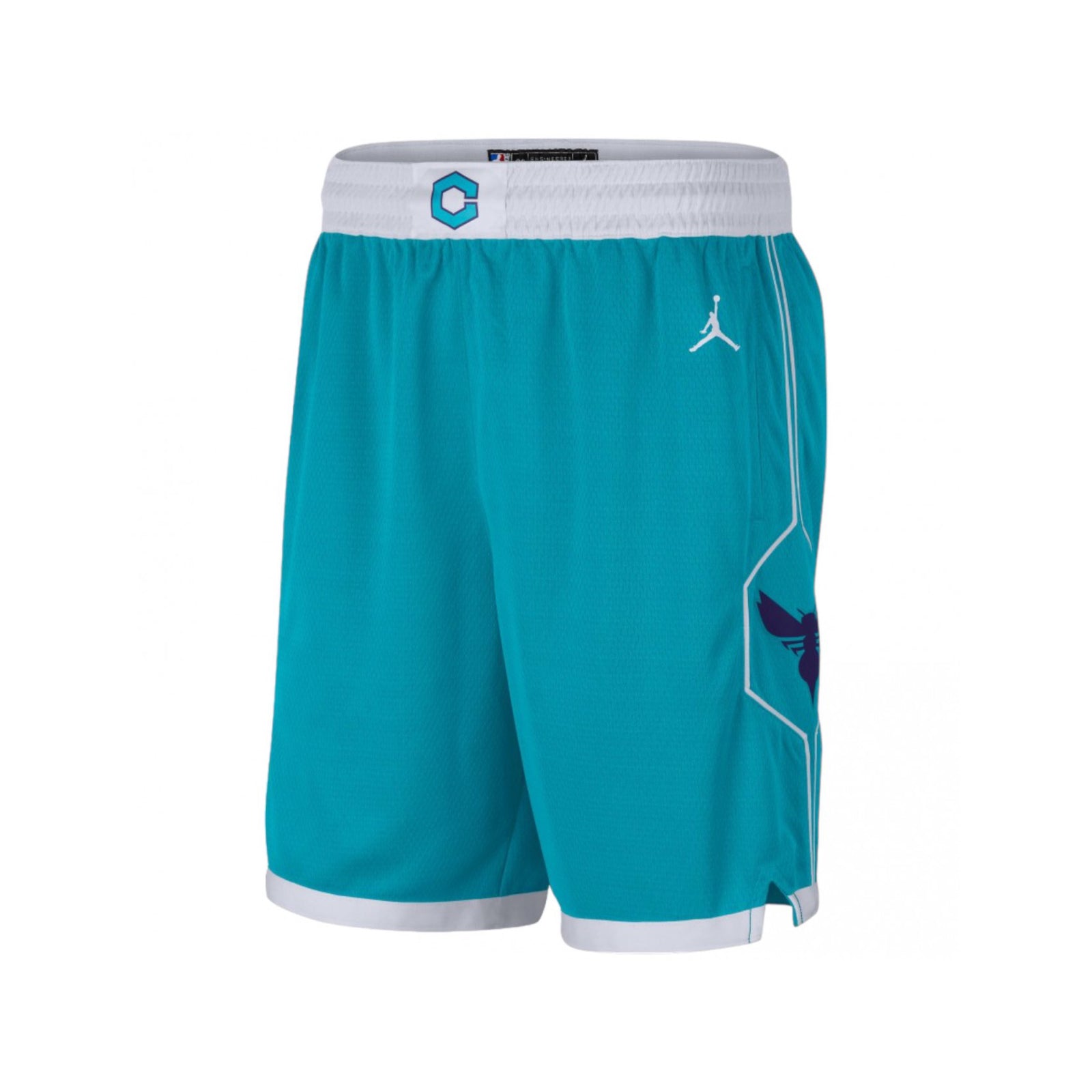 Charlotte Hornets Icon Edition Swingman