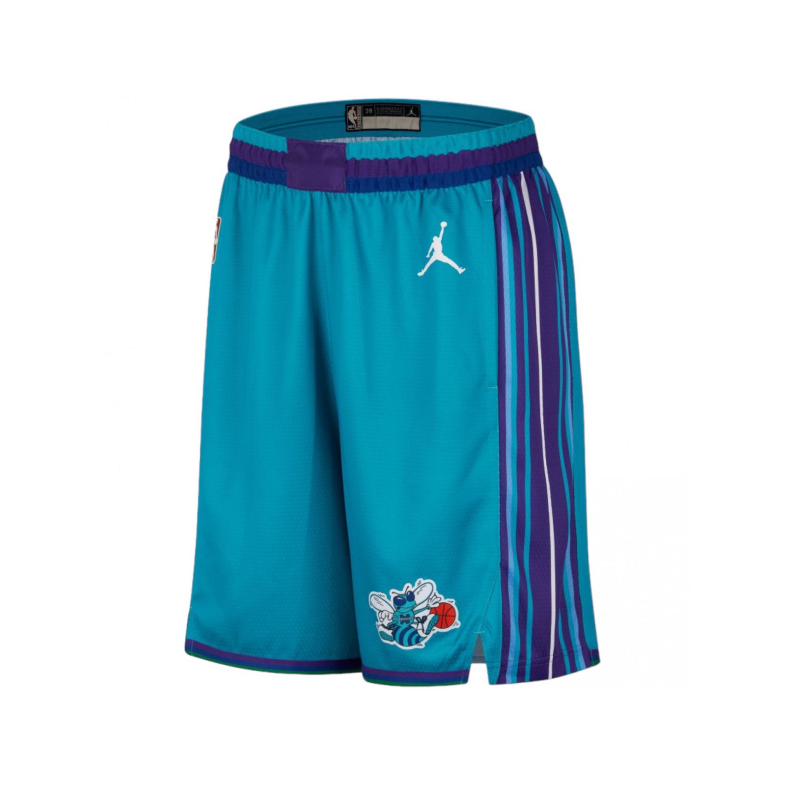 Charlotte Hornets Swingman HWC