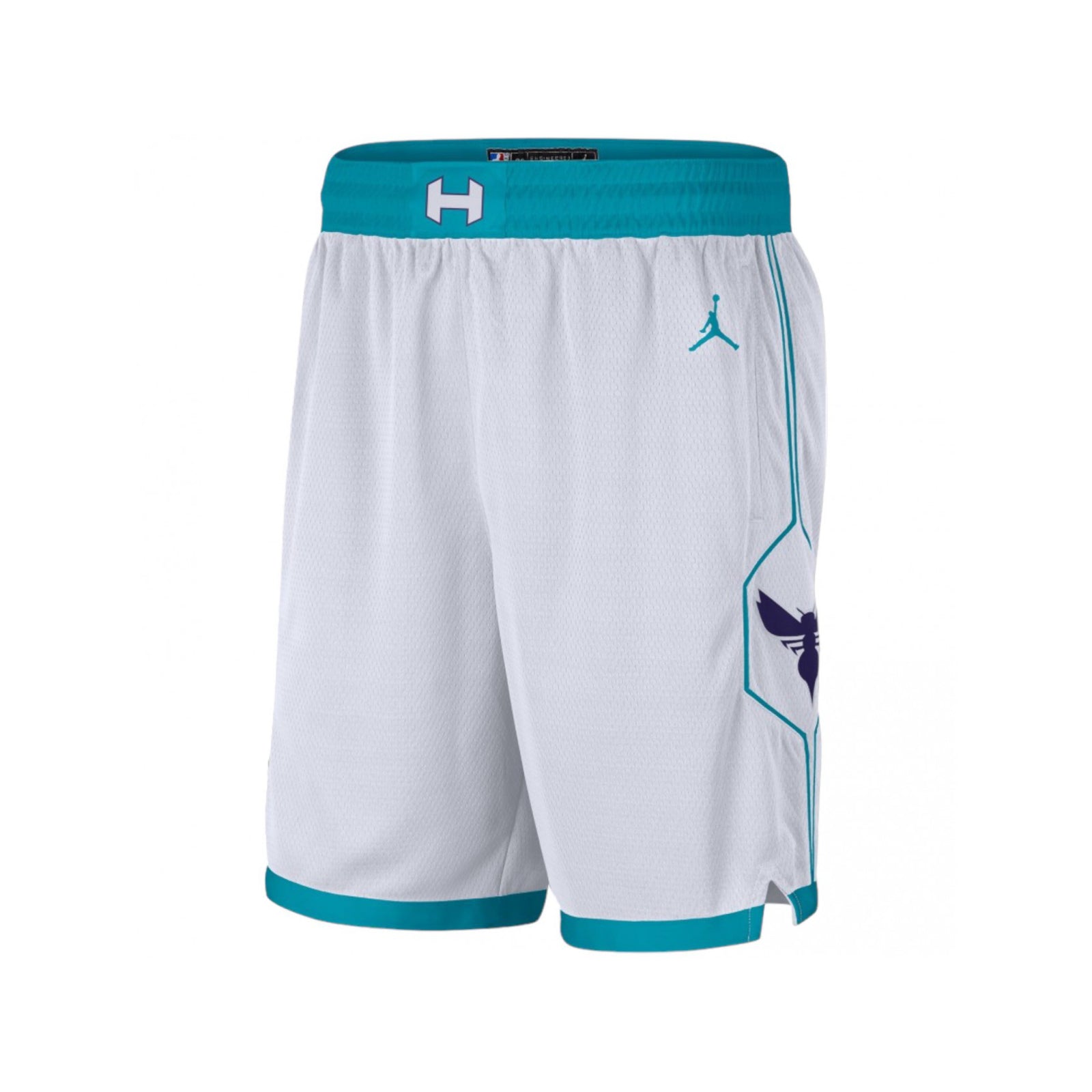 Charlotte Hornets Association Edition Junior Swingman