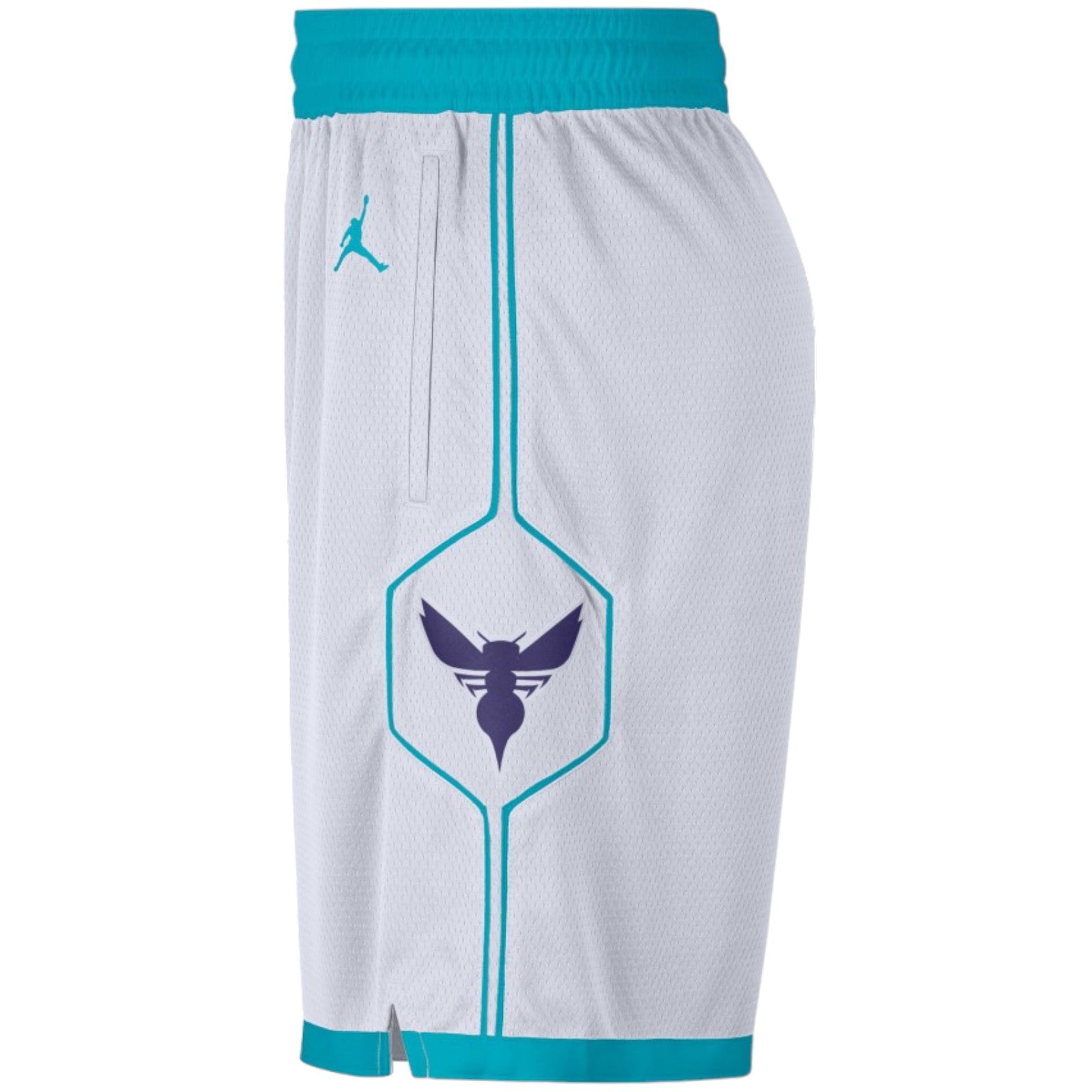 Charlotte Hornets Association Edition Swingman Junior