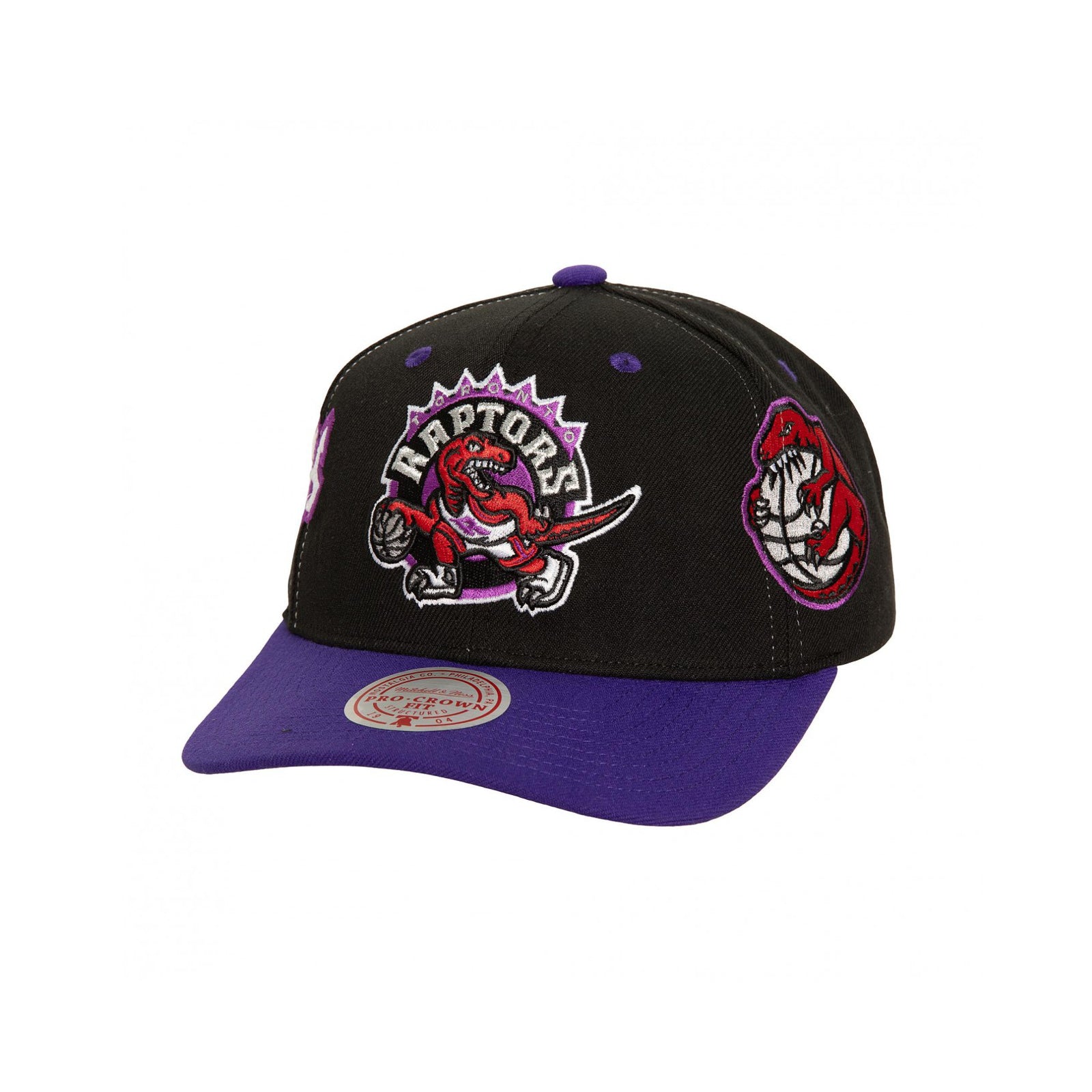 Overbite Pro Snapback HWC Toronto Raptors