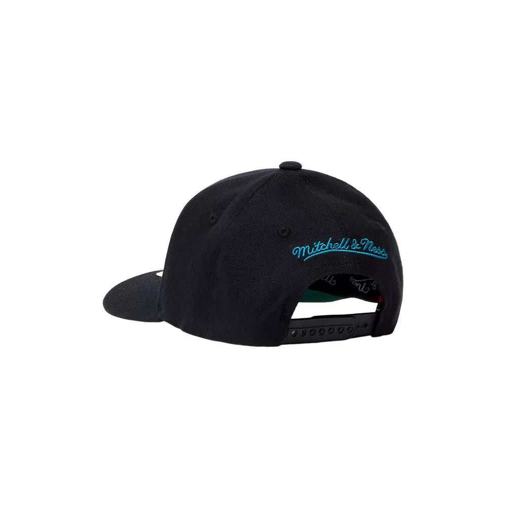 NBA Team Logo HC CR Snapback Charlotte Hornets