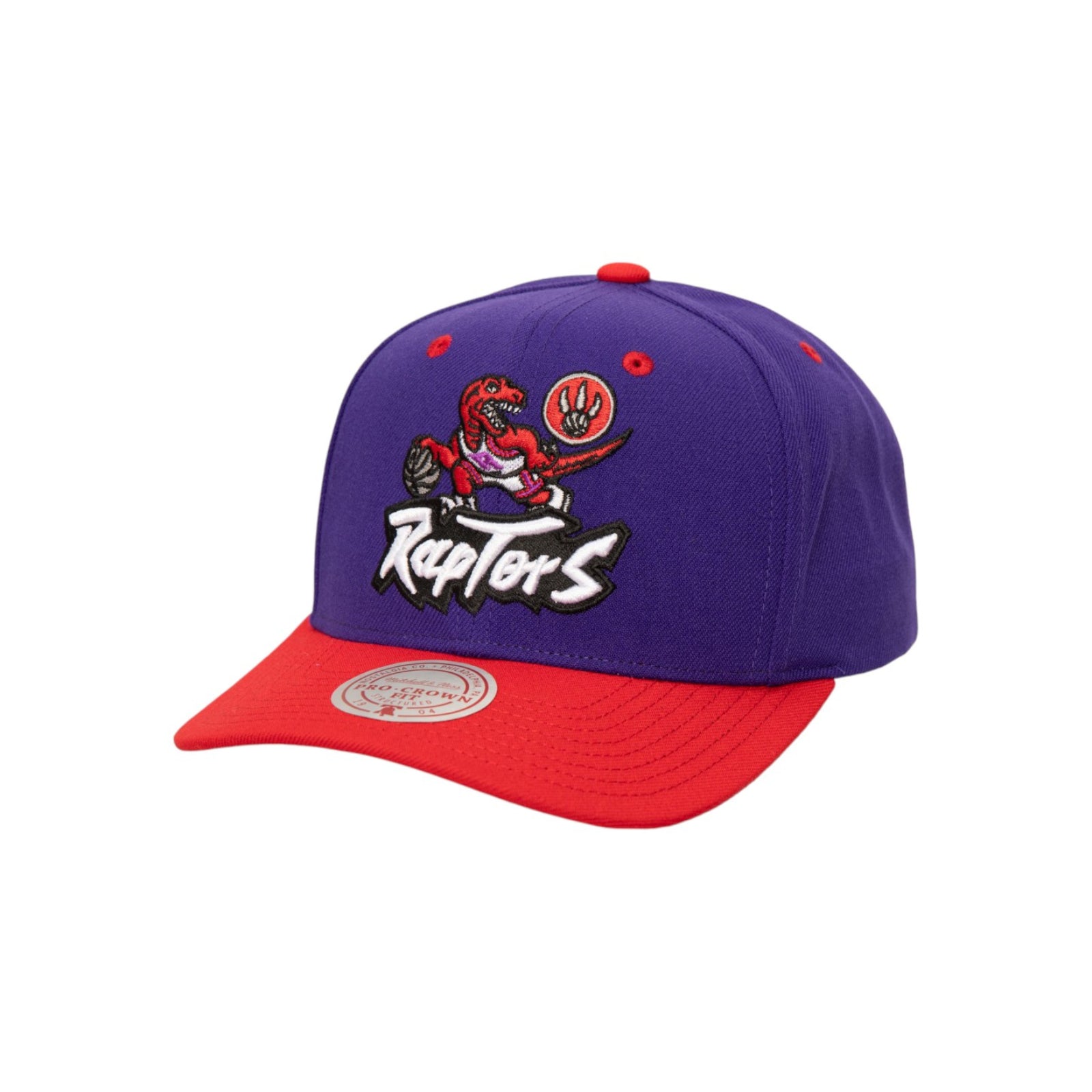 All In 2.0 Pro Snapback HWC Toronto Raptors