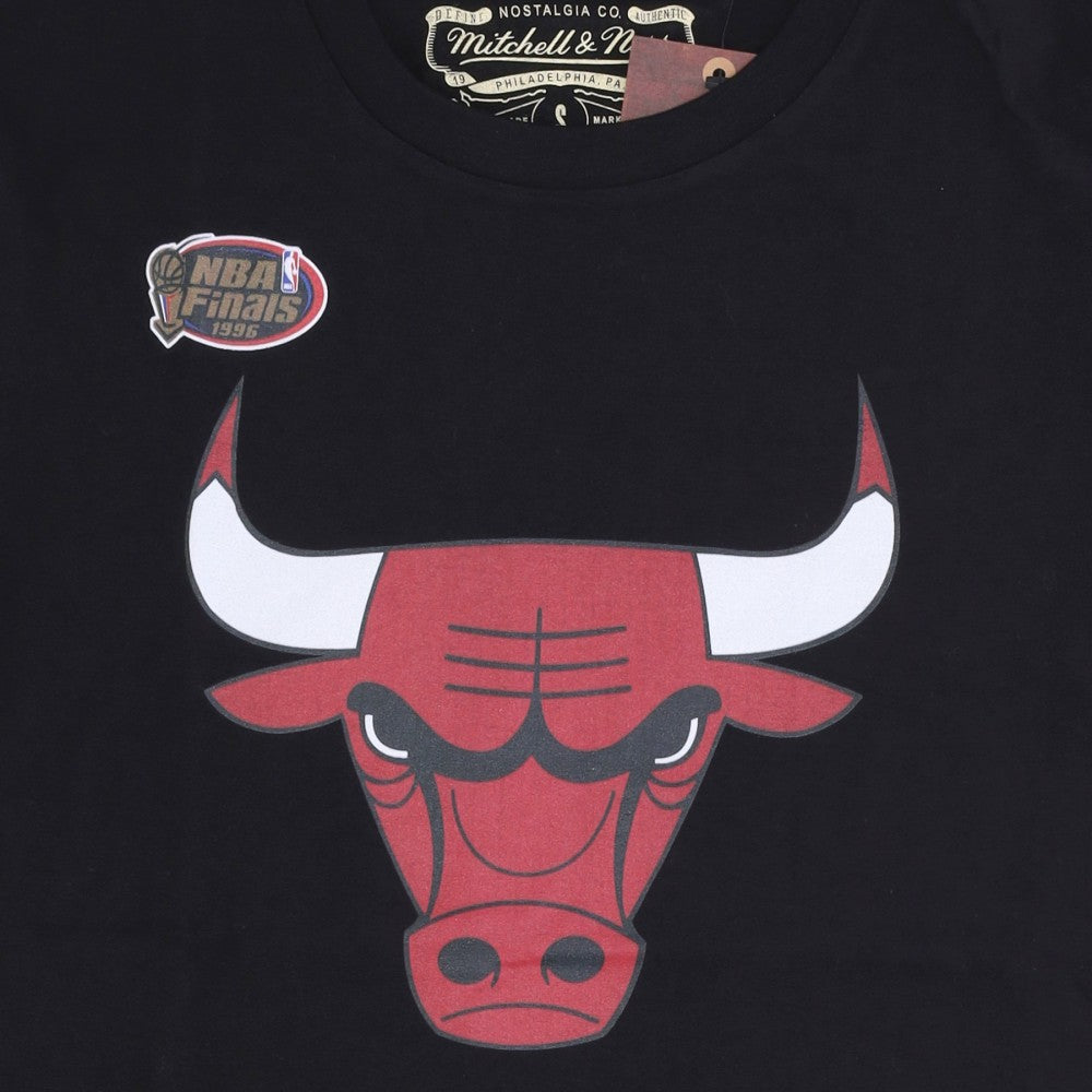 NBA Tee Logo Bulls