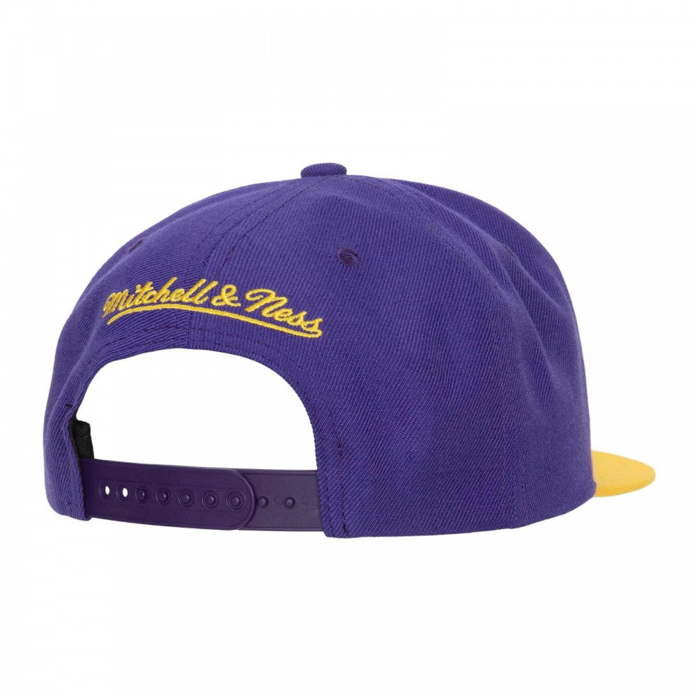 Team 2 Tone 2.0 Stretch Snapback Lakers