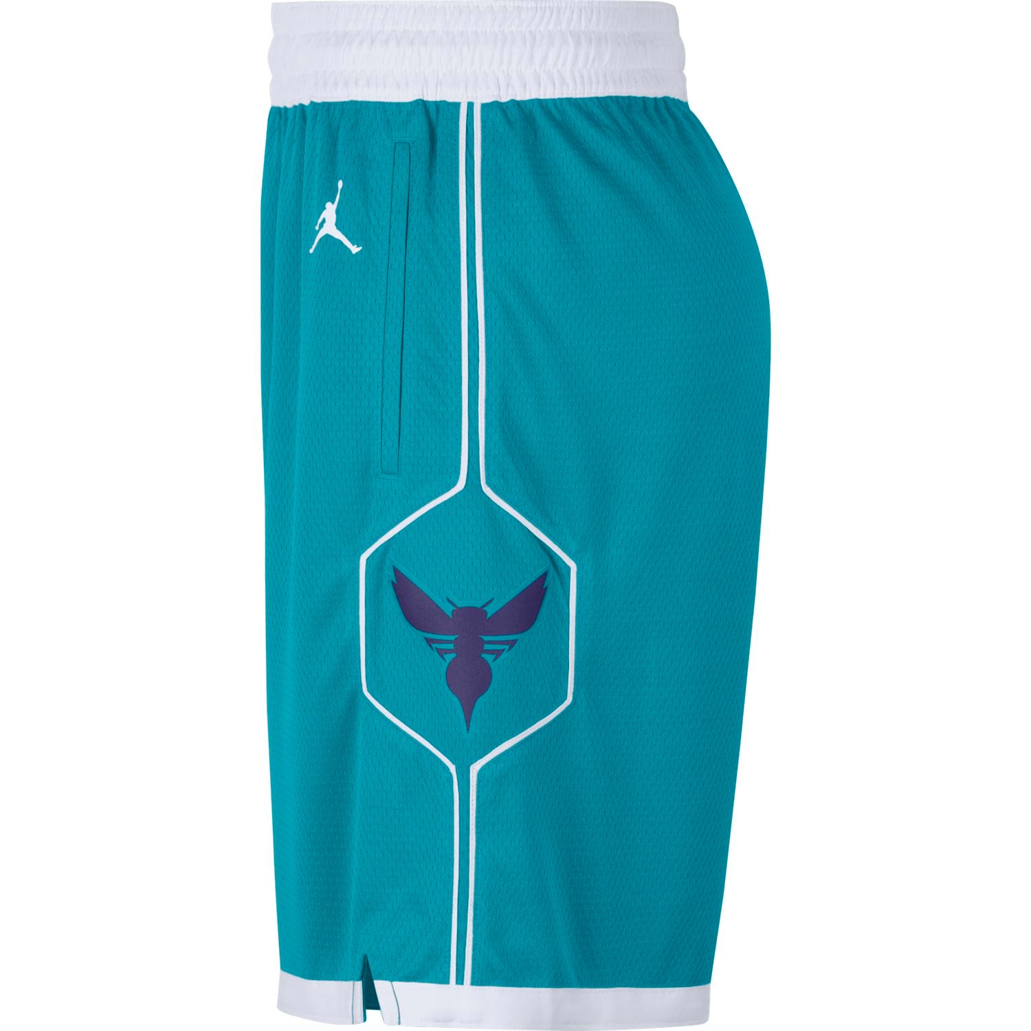 Charlotte Hornets Icon Edition Swingman