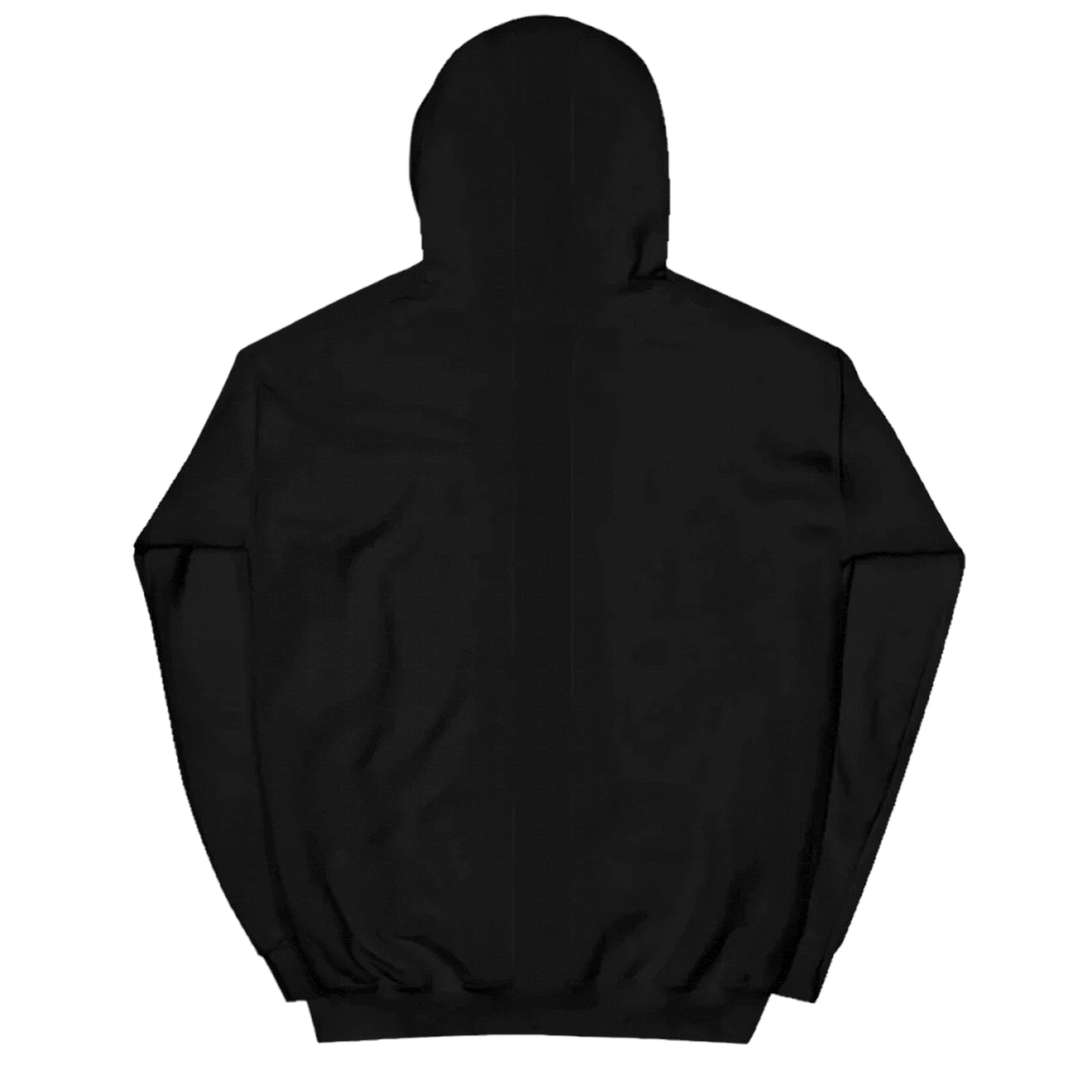 Agent Hoodie